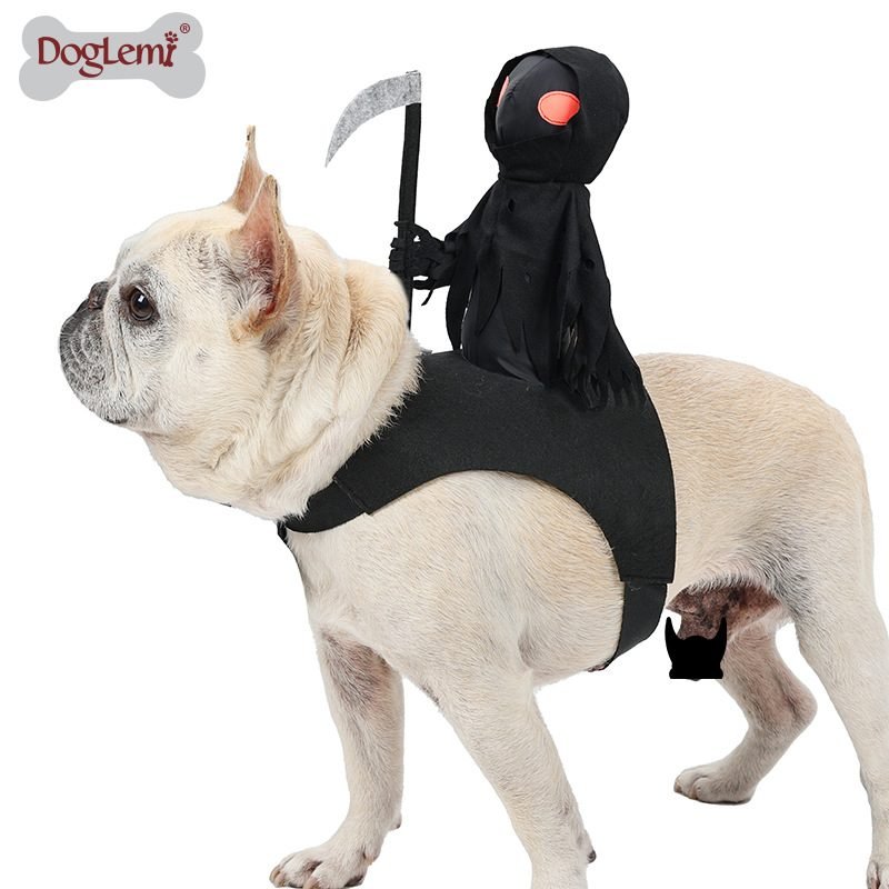 Disfraz Divertido de Mascotas Halloween